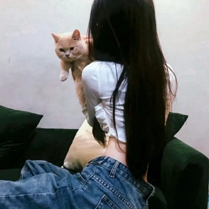囧女翻身之嗨如花第二部