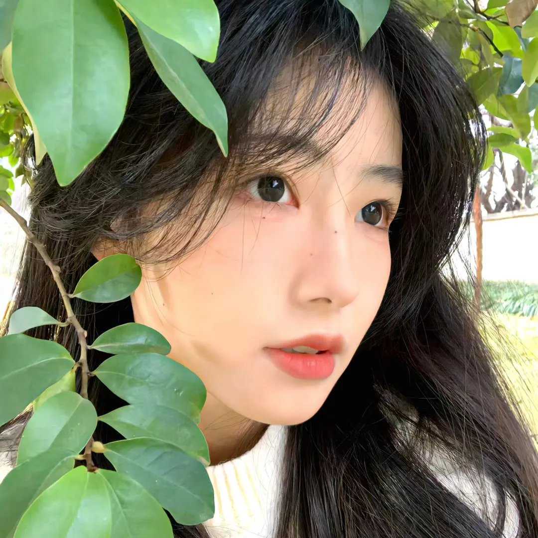 肢解迷情